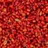 Купить Зерновая смесь MINENKO Royal Plum Wheat (1кг)