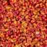 Купить Зерновая смесь MINENKO Tropic Fruit MIX Wheat (4кг)